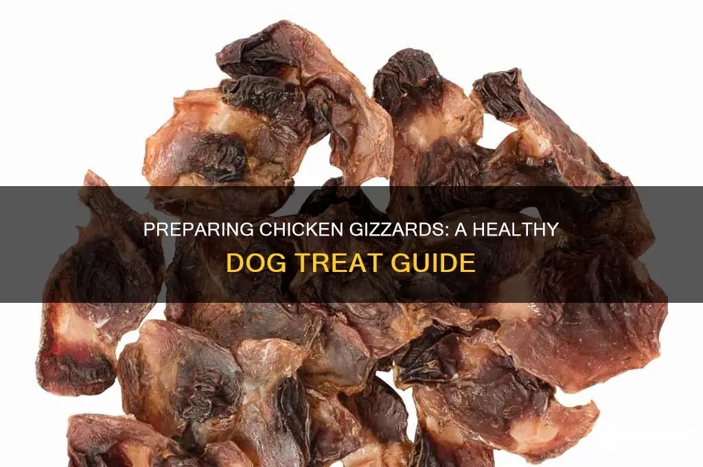 how to prepare chicken gizzards for dogs