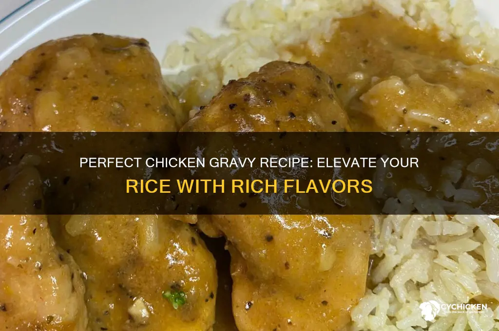 how to prepare chicken gravy for rice