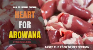 Preparing Chicken Hearts: A Nutritious Arowana Feeding Guide