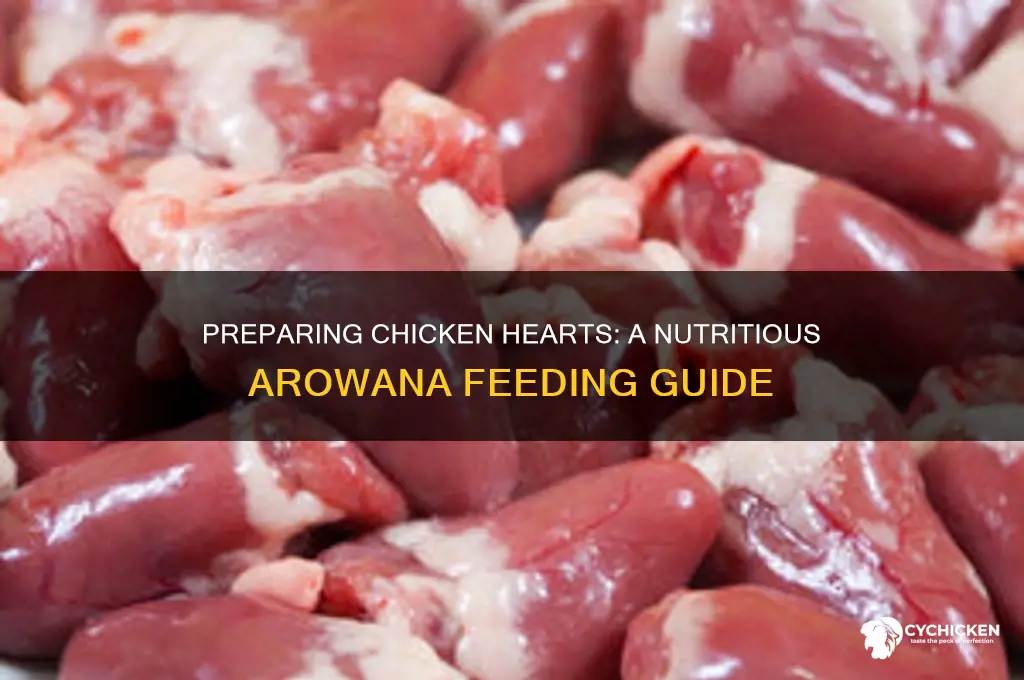 how to prepare chicken heart for arowana