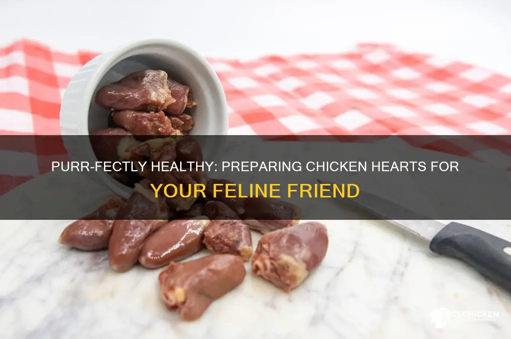 how to prepare chicken hearts for cats