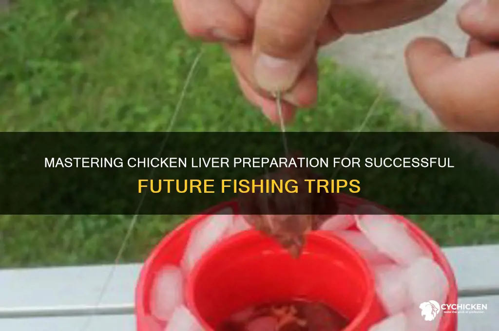 how to prepare chicken liver for future fishing