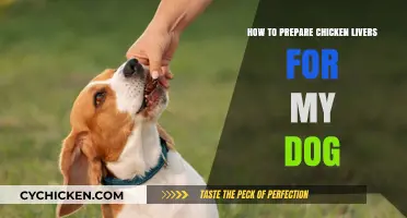 Preparing Chicken Livers Safely: A Healthy Dog Treat Guide