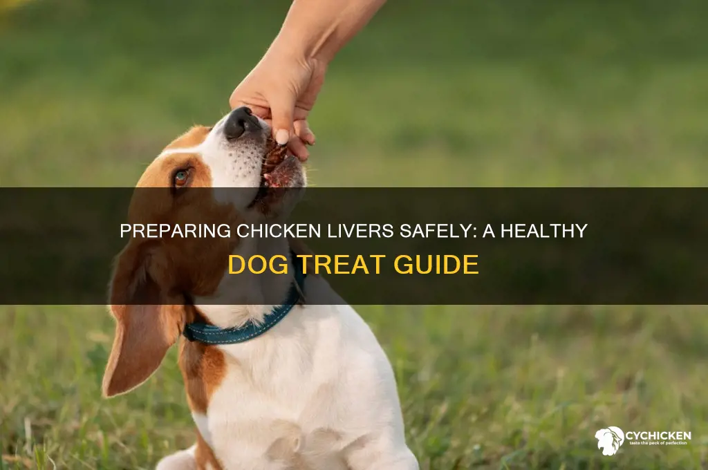 how to prepare chicken livers for my dog