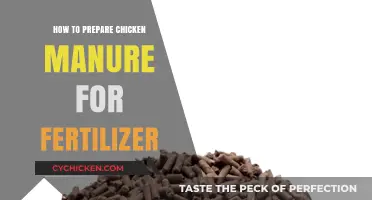Transforming Chicken Manure into Nutrient-Rich Fertilizer: A Step-by-Step Guide