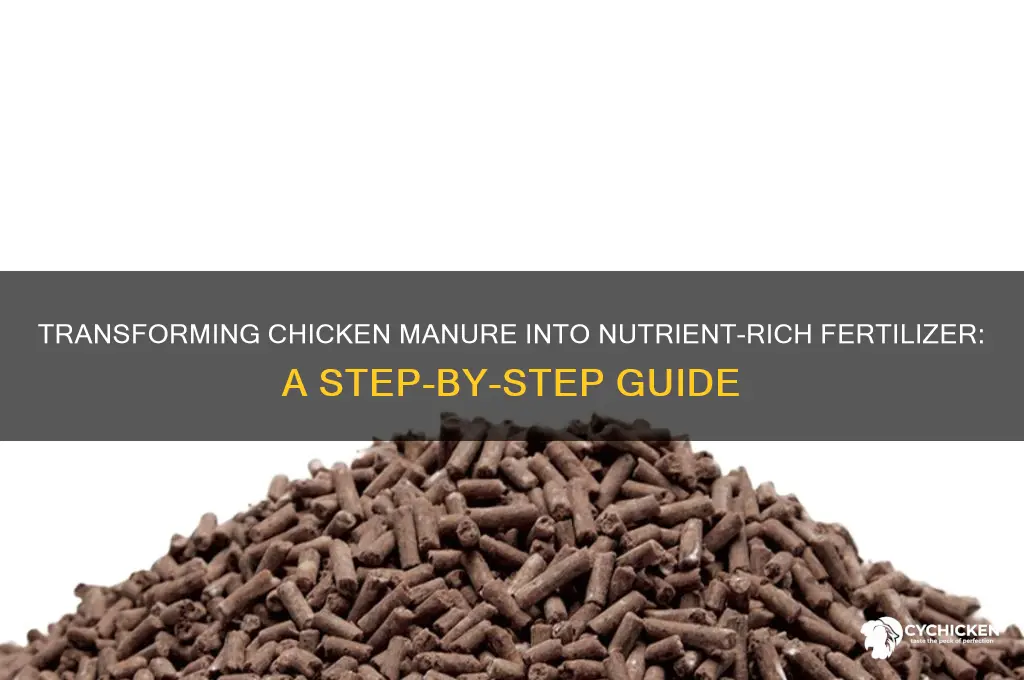 how to prepare chicken manure for fertilizer