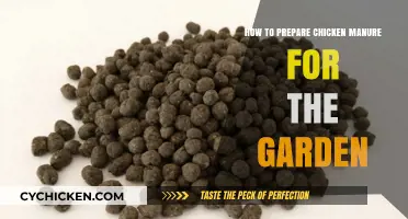 Transform Your Garden: A Guide to Preparing Chicken Manure for Fertilizer