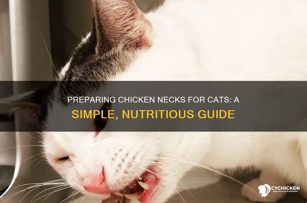 how to prepare chicken necks for cats