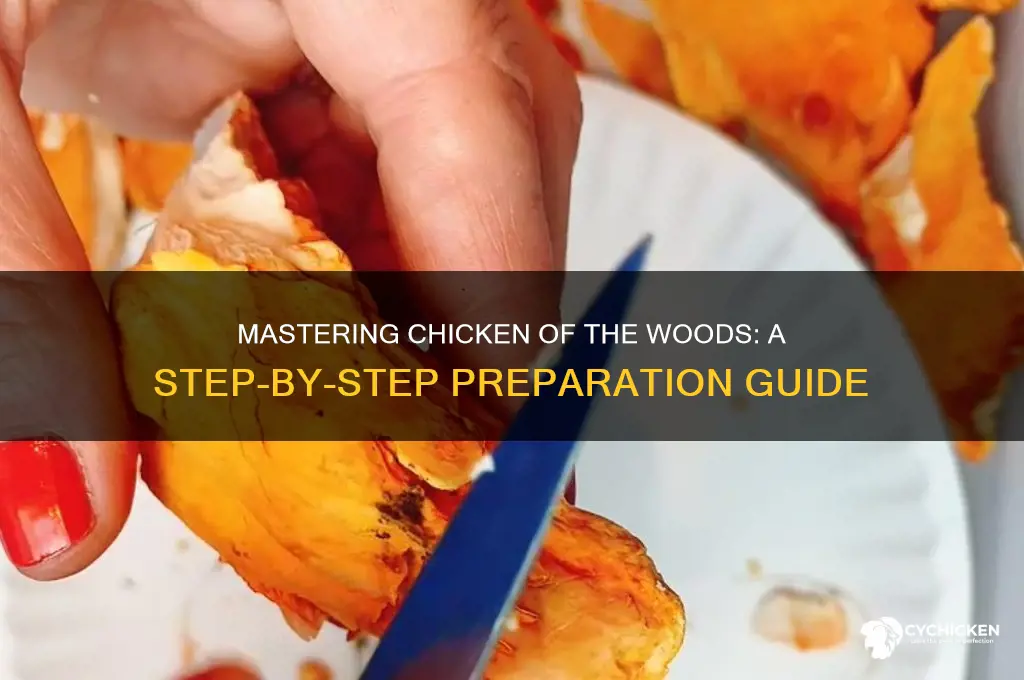 how to prepare chicken of the woods