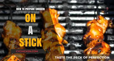 Mastering Chicken on a Stick: Simple Grilling Tips for Juicy Skewers