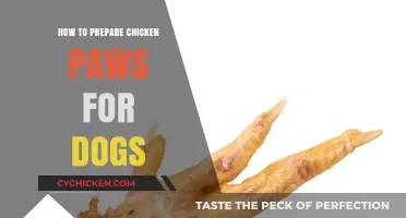 Preparing Chicken Paws for Dogs: A Safe and Nutritious Treat Guide