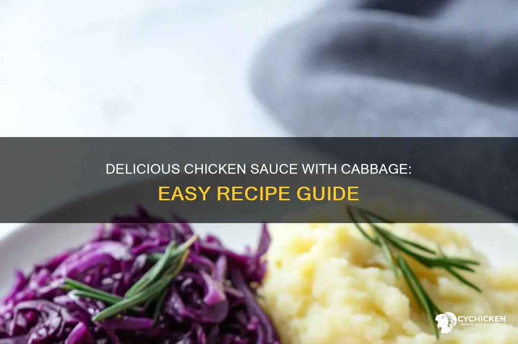 how to prepare chicken sauce with cabbage
