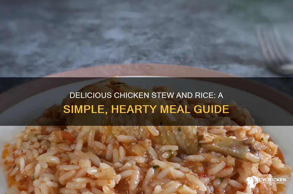 how to prepare chicken stew and rice
