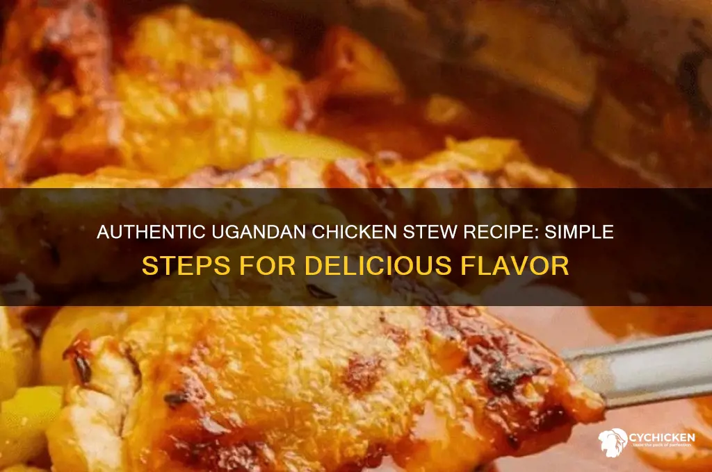 how to prepare chicken stew in uganda