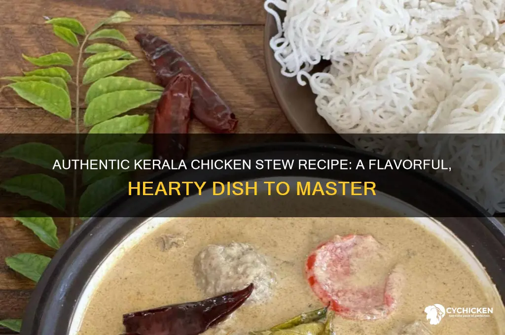 how to prepare chicken stew kerala style