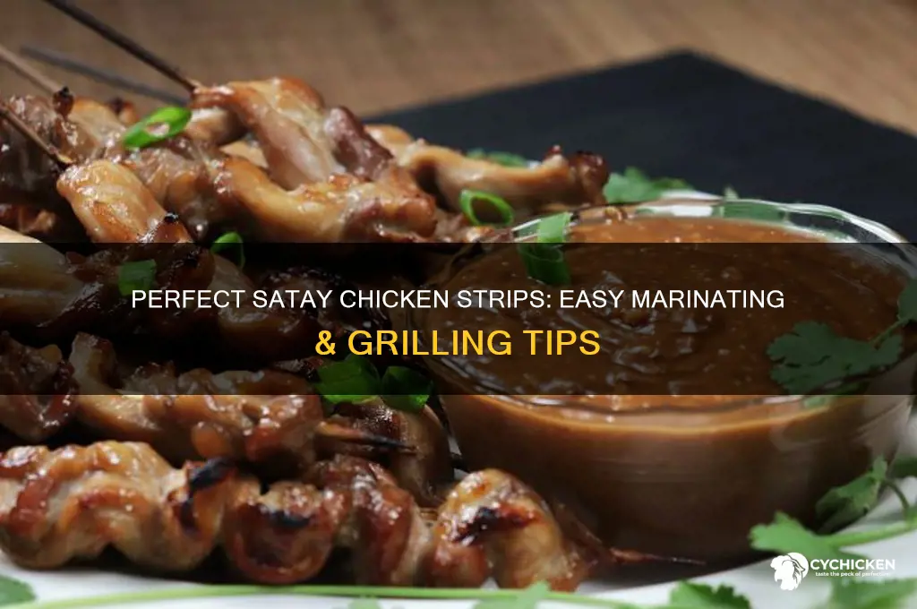 how to prepare chicken strips for satay