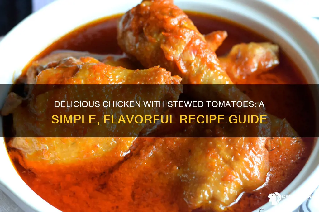 how to prepare chicken with stewed tomatoes