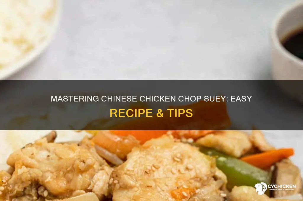 how to prepare chinese chicken chop suey