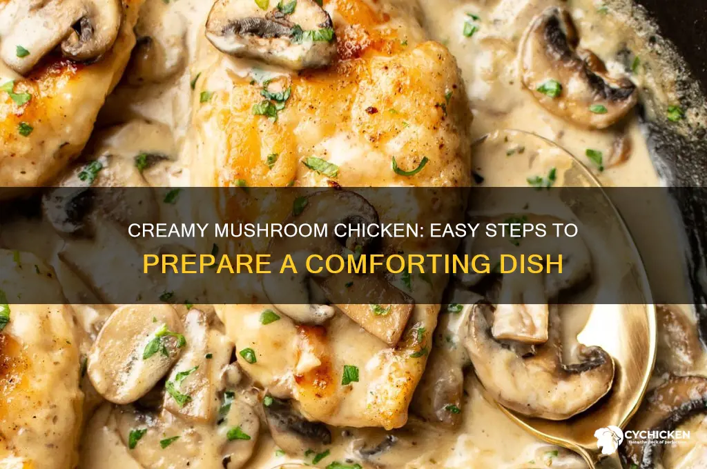 how to prepare cream of mushroom chicken