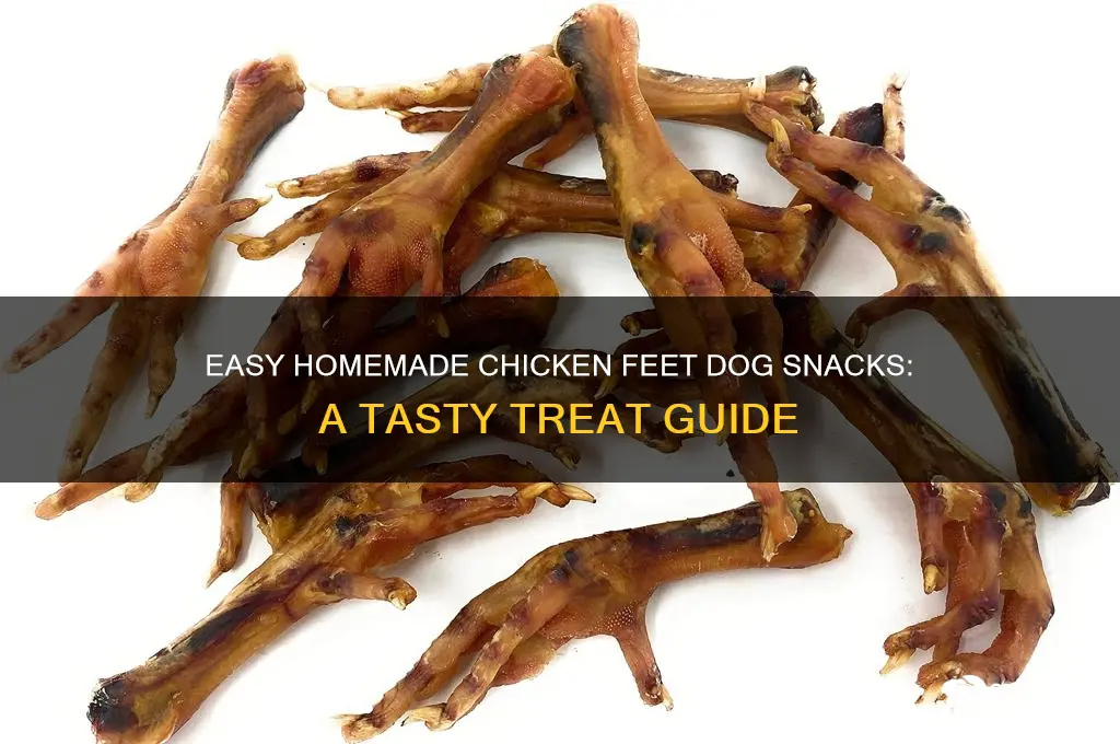 how to prepare dog snacks chicken feet