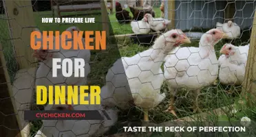 From Coop to Table: A Step-by-Step Guide to Preparing Live Chicken for Dinner