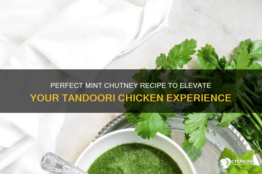 how to prepare mint chutney for tandoori chicken