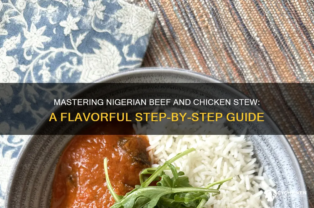 how to prepare nigerian beef and chicken stew