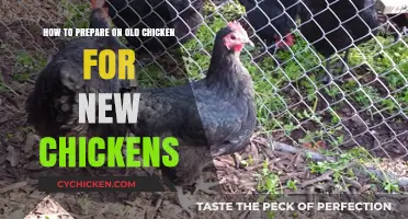 Introducing Old and New Chickens: A Guide to Preparation