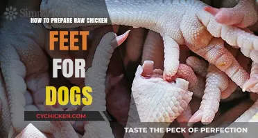 Preparing Raw Chicken Feet for Dogs: A Safe and Nutritious Guide