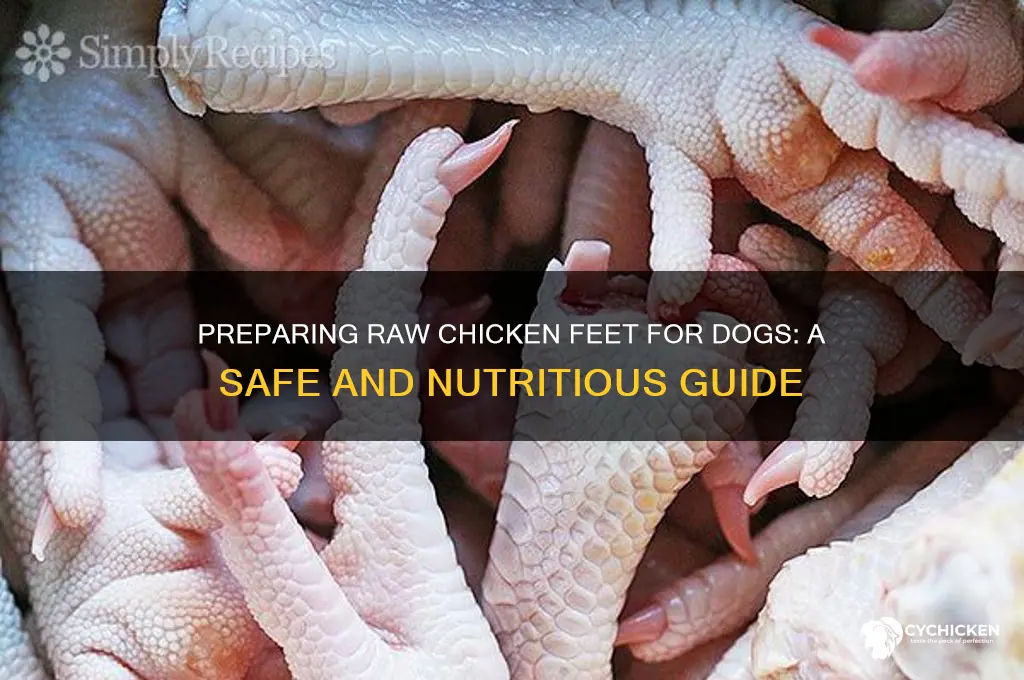 how to prepare raw chicken feet for dogs