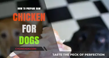 Safe Raw Chicken Prep for Dogs: A Step-by-Step Guide