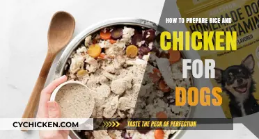 Healthy Homemade Dog Food: Rice and Chicken Preparation Guide