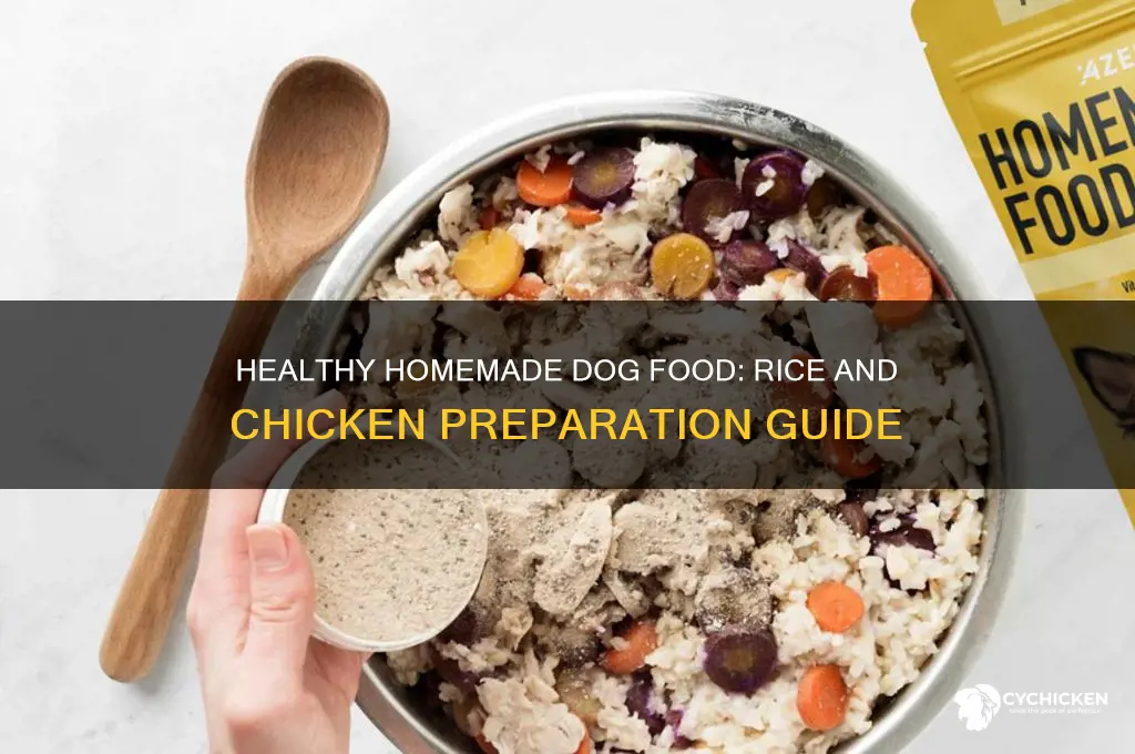 how to prepare rice and chicken for dogs
