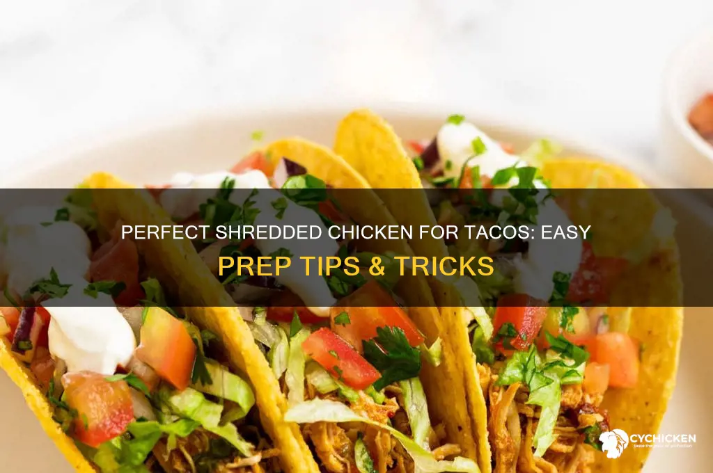 how to prepare shredded chicken for tacos