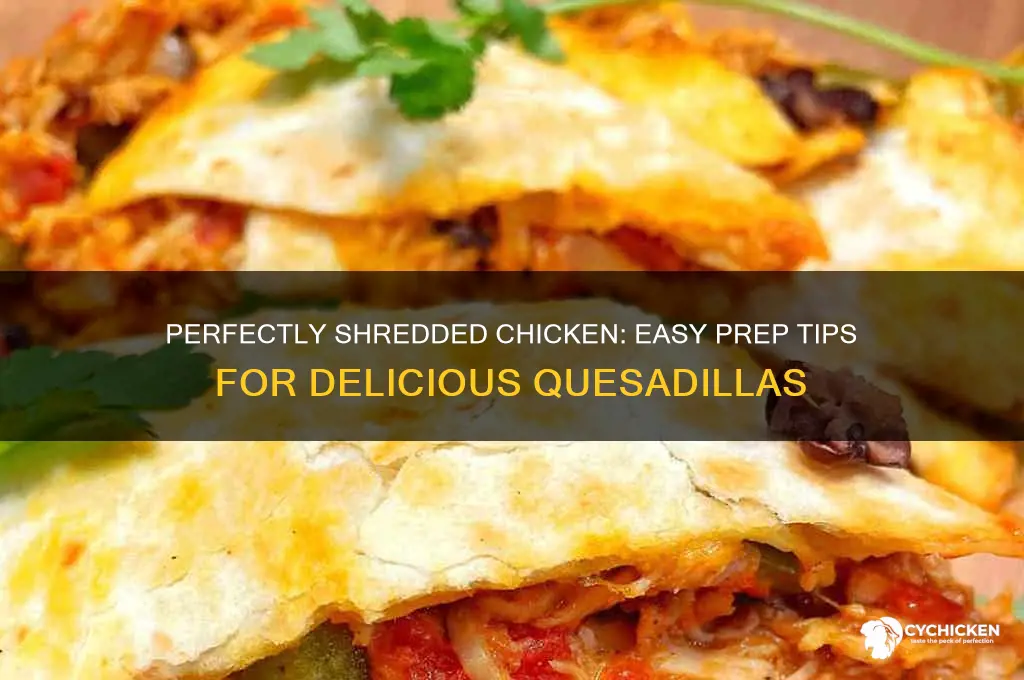 how to prepare shreded chicken for quesadillas
