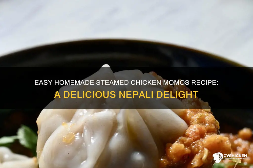how to prepare steamed chicken momos at home