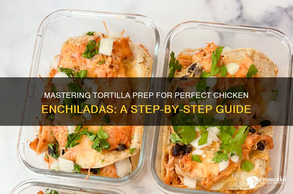 how to prepare tortillas for chicken enchiladas
