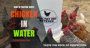 Simple Water-Cooked White Chicken: A Healthy, Easy Recipe Guide