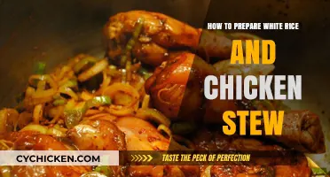 Perfectly Cooked White Rice and Hearty Chicken Stew Recipe Guide