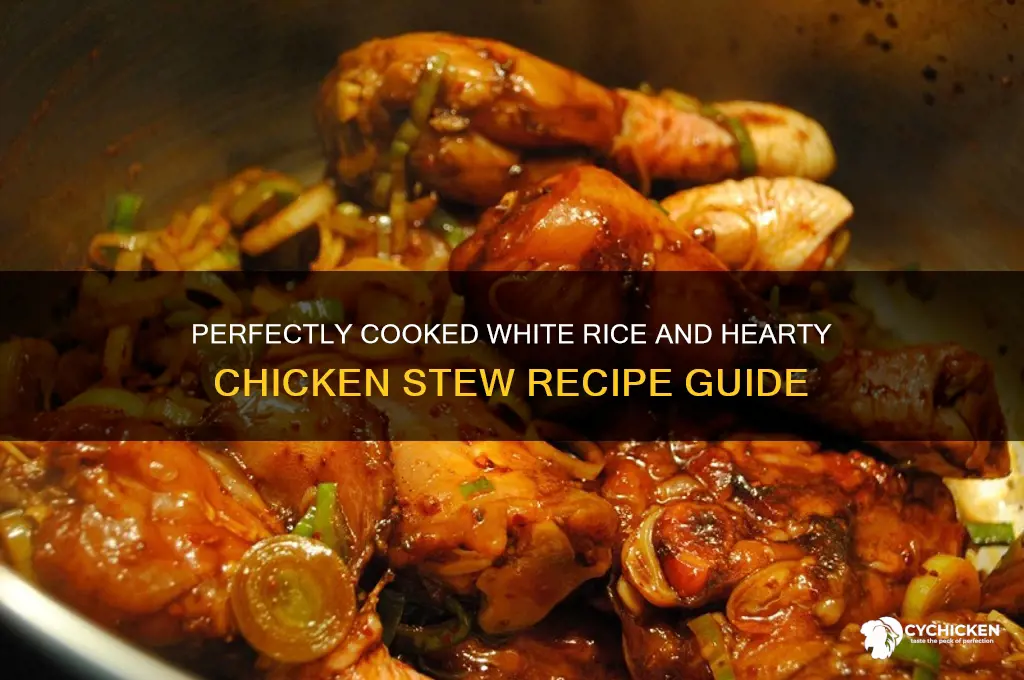 how to prepare white rice and chicken stew