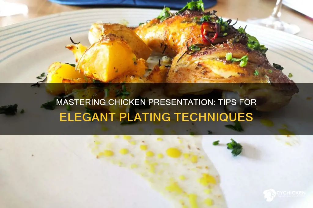 how to present chicken on a plate