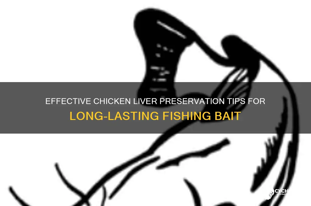 how to preserve chicken liver for fishing bait