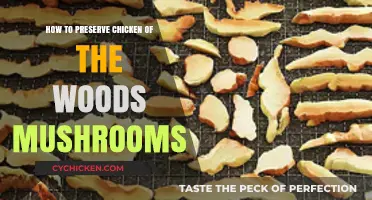 Preserving Chicken of the Woods: Tips for Long-Lasting Mushroom Storage