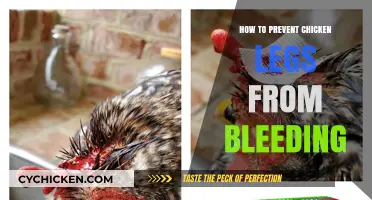 Prevent Chicken Leg Bleeding: Essential Tips for Healthy Poultry Care