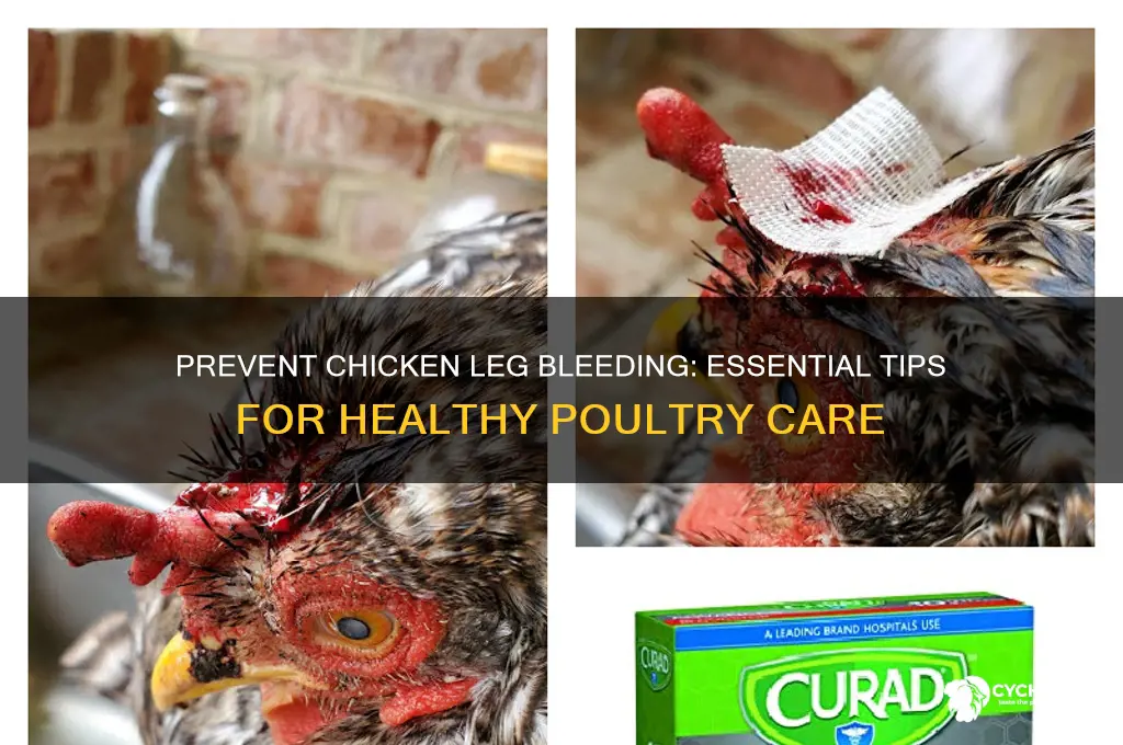 how to prevent chicken legs from bleeding