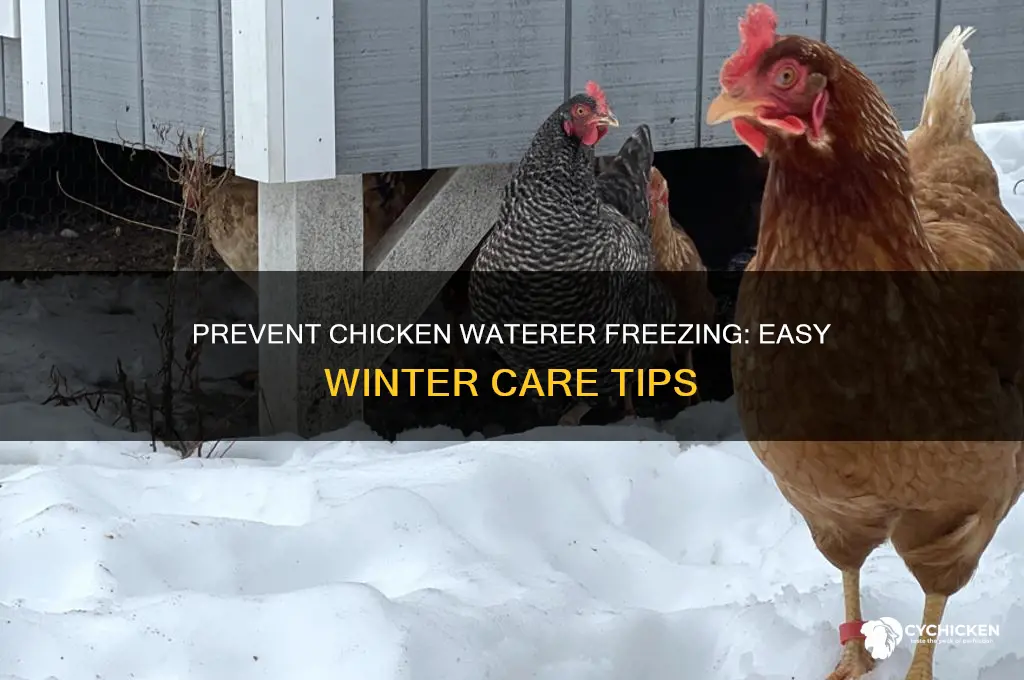 how to prevent chicken waterer from freezing
