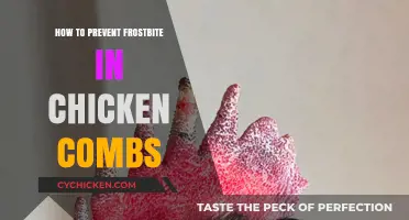 Protecting Chicken Combs: Essential Tips to Prevent Frostbite in Winter