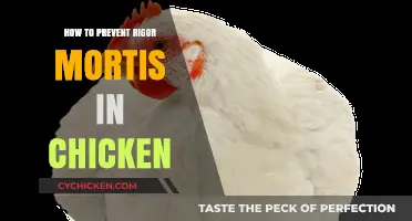 Preventing Rigor Mortis in Chicken: Essential Tips for Freshness and Quality
