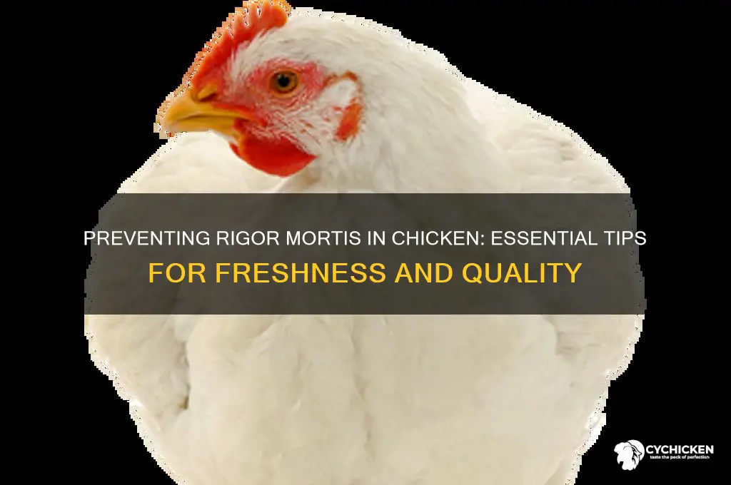 how to prevent rigor mortis in chicken