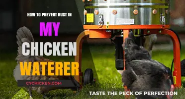 Prevent Rust in Your Chicken Waterer: Simple Maintenance Tips
